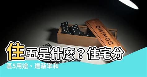 住五 意思|住五：2024最新解析